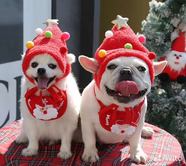 Новогодняя шапочка и мягкая кофточка для собаки