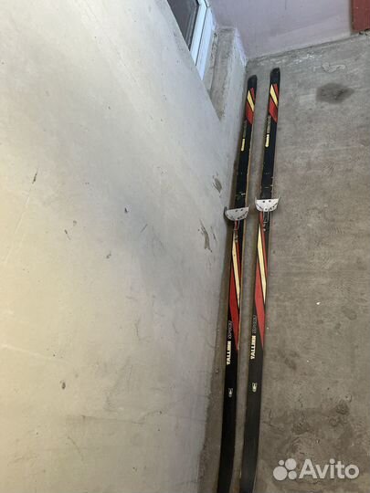 Беговые лыжи