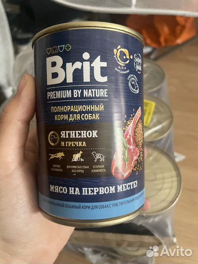 Влажный корм для собак Brit ягненок и гречка