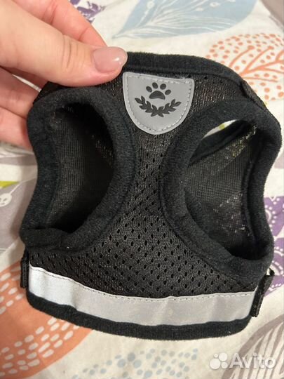 Куртка для собак мелких пород и шлейка