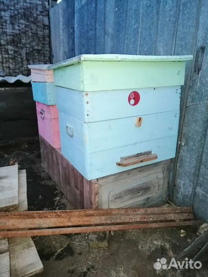 Улей для пчел бу