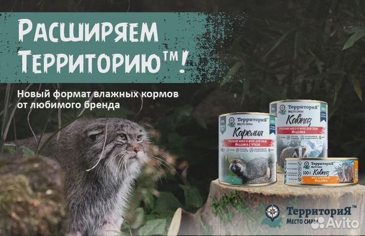 Корм для кошек Tерритория в Калининграде