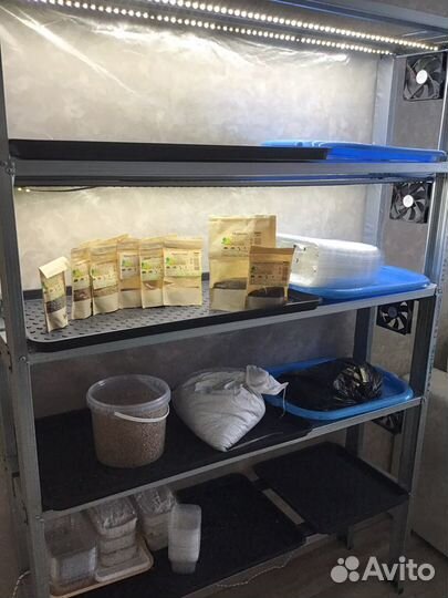 Стартовый набор миниферма микрозелени