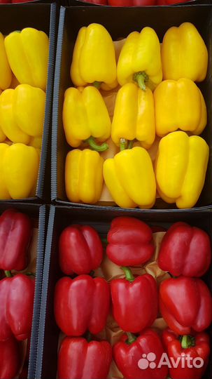 Ищу инвестора в сезонный бизнес