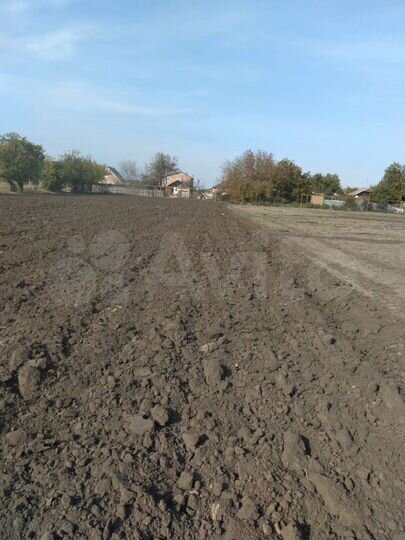 Участок 33 сот. (СНТ, ДНП)