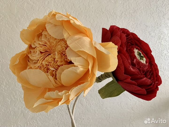 Декоративные цветы