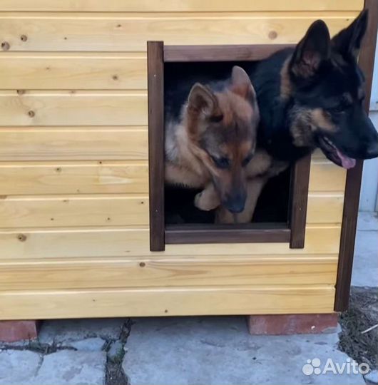 Будка для собаки