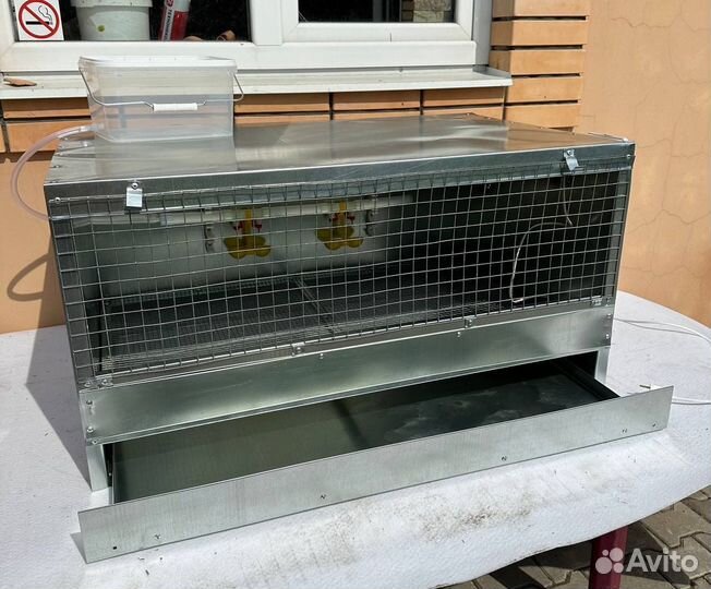 Брудер для цыплят