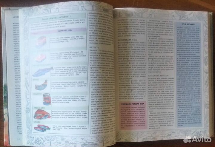 Еда наш друг, еда наш враг