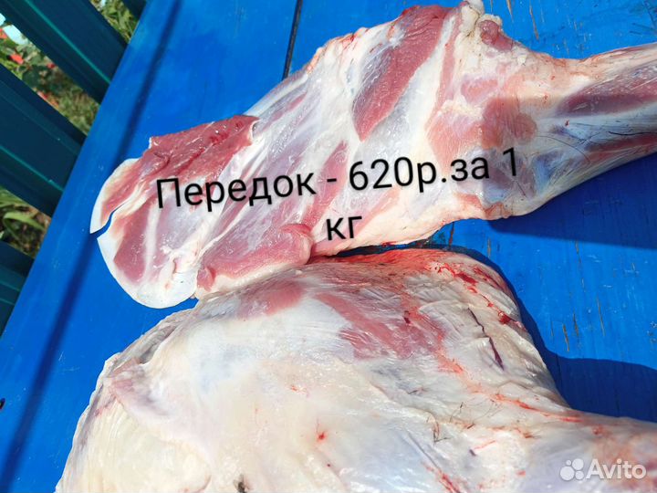 Мясо баранина