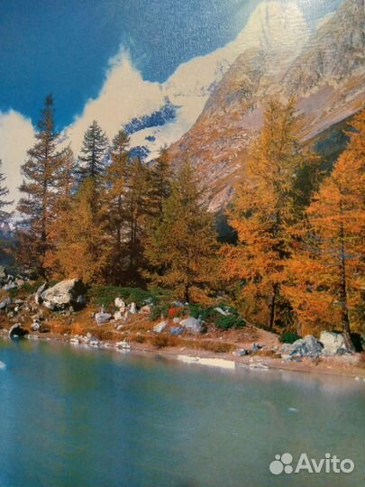 Картина осенний пейзаж