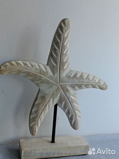 Черепаха, звезда морская