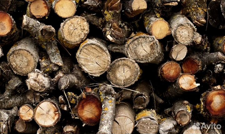 Дрова с Выборга