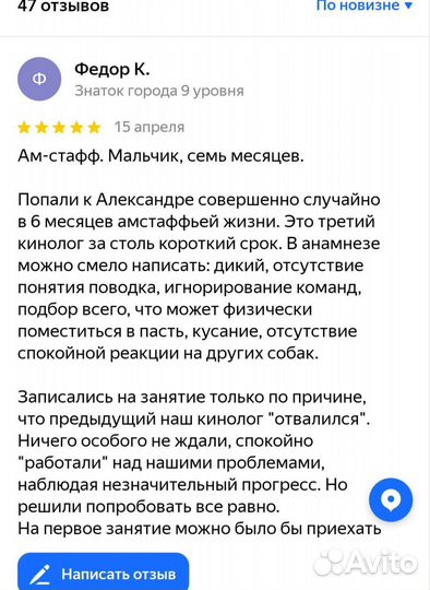 Дрессировка передержка инструктор кинолог собака