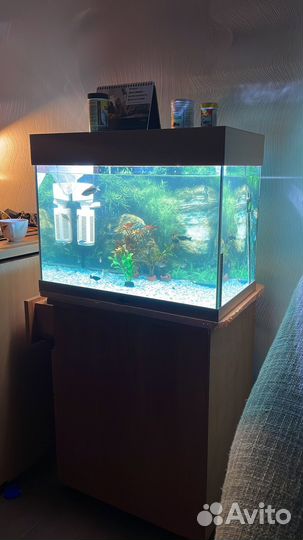 Аквариум с рыбками
