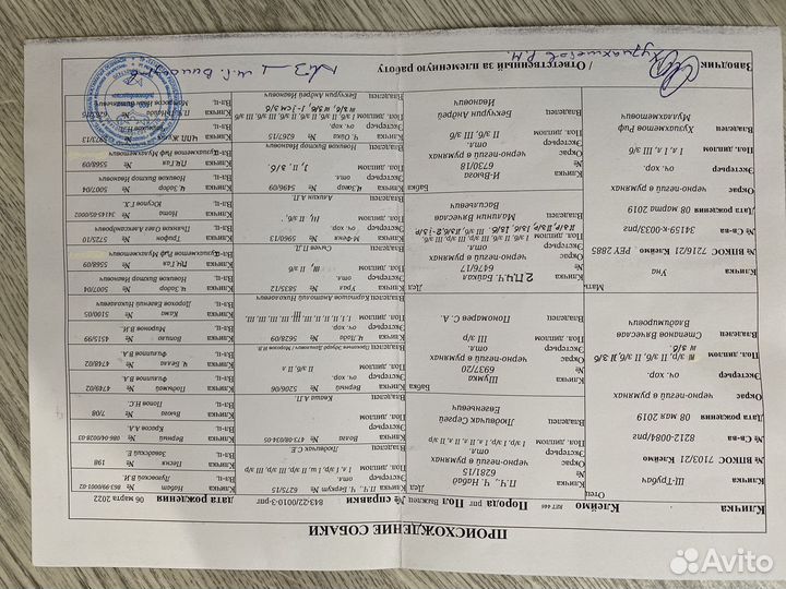 Щенки русской пегой гончей породы