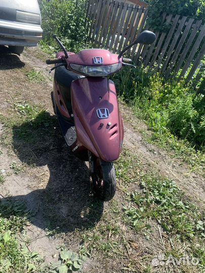 Honda dio