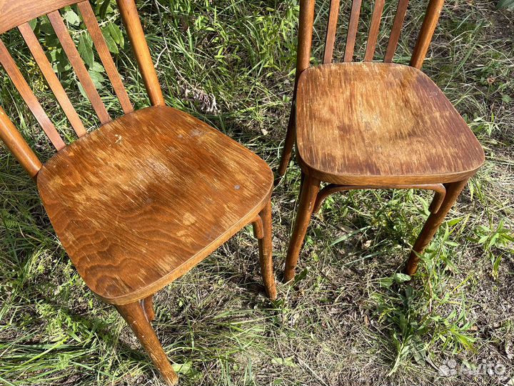 Стулья венские