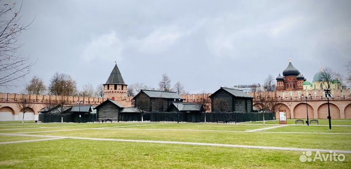 Путешествие в Тулу, Ясную Поляну и Кондуки