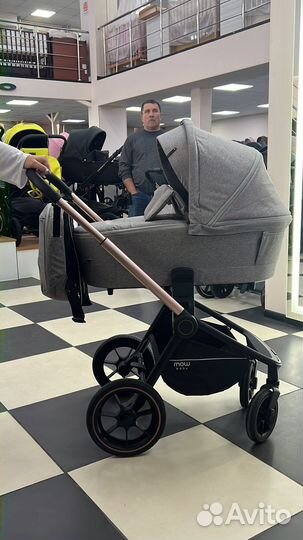 Прогулочная коляска Rant zoom 2 в 1