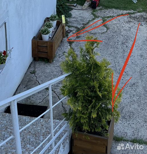 Кашпо ящики уличные деревянные