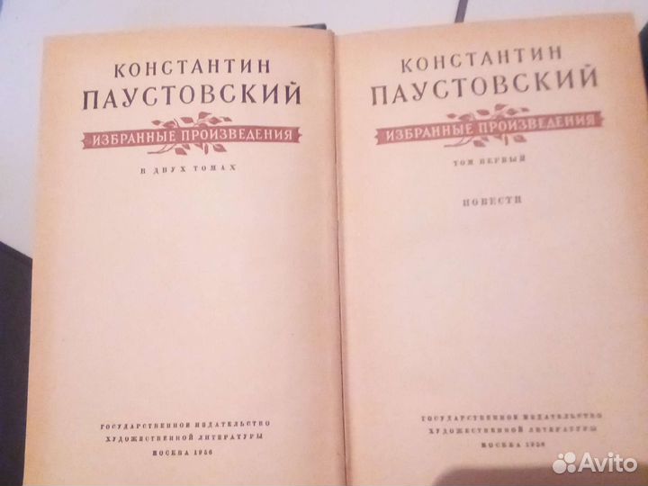 Паустовский избранное в 2 томах
