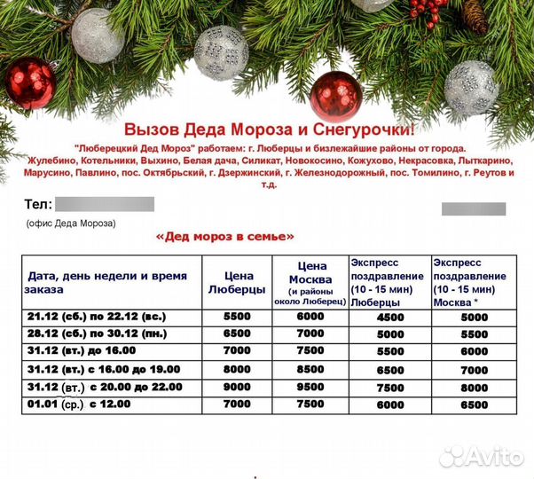 Дед мороз и снегурочка вызов на дом