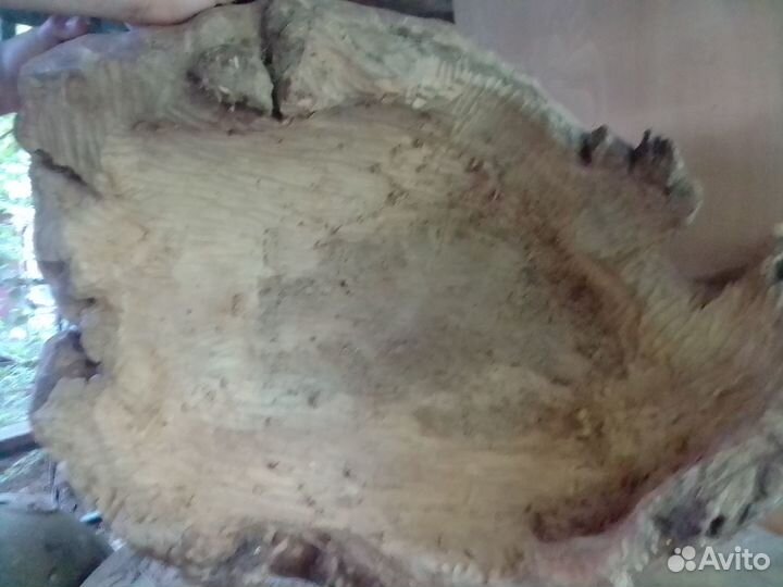 Кап березовый