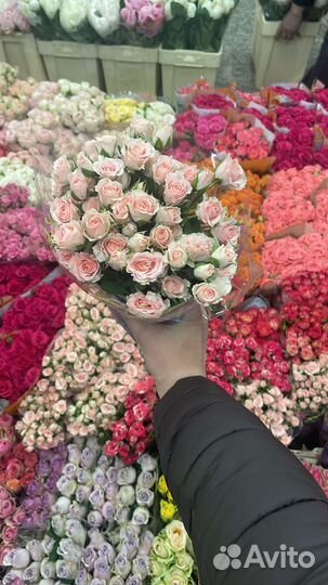 Свой человек в Питере, Курьер, Разовая Доставка