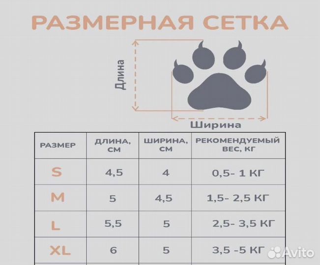 Собачьи ботинки