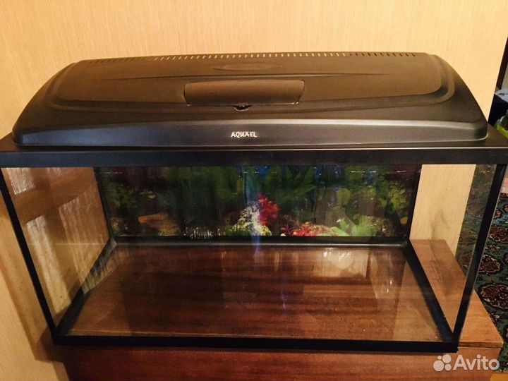 Аквариум