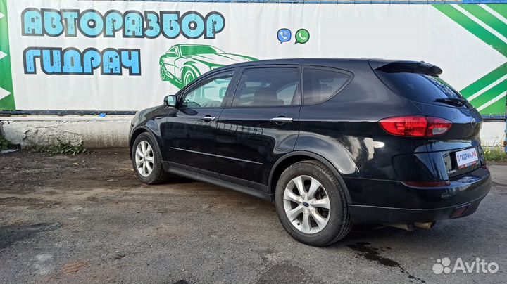 Петли двери задней правой Subaru Tribeca