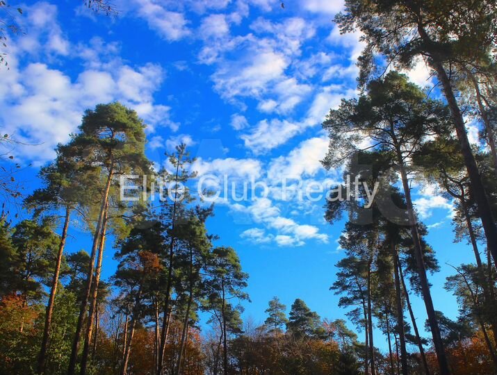 Участок 41 сот. (ИЖС)