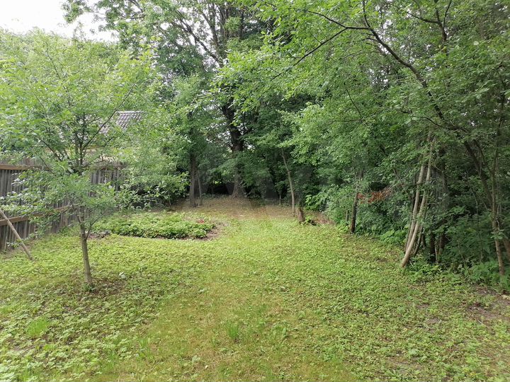 Дом 54 м² на участке 16,8 сот.