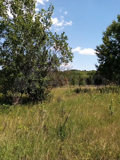 Участок 3,13 га (СНТ, ДНП)