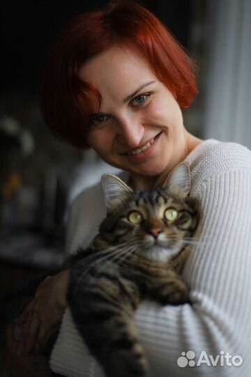 Котоняня Солнцево