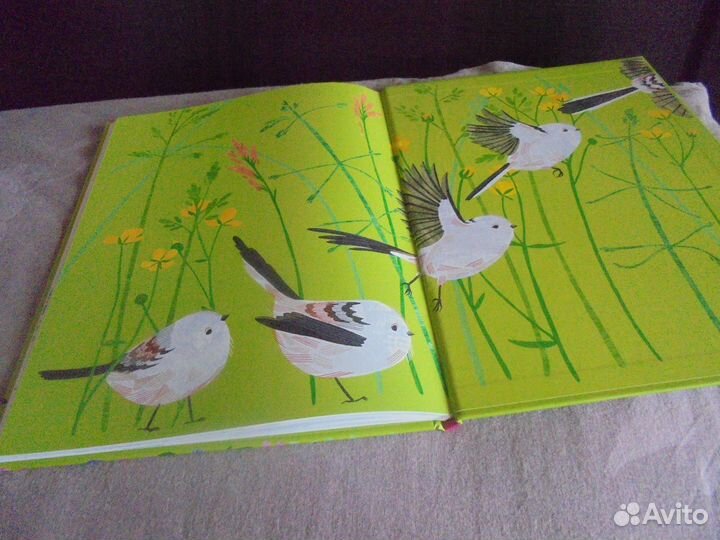 Наши цветы Е.Серова илл.Ст.Янковская