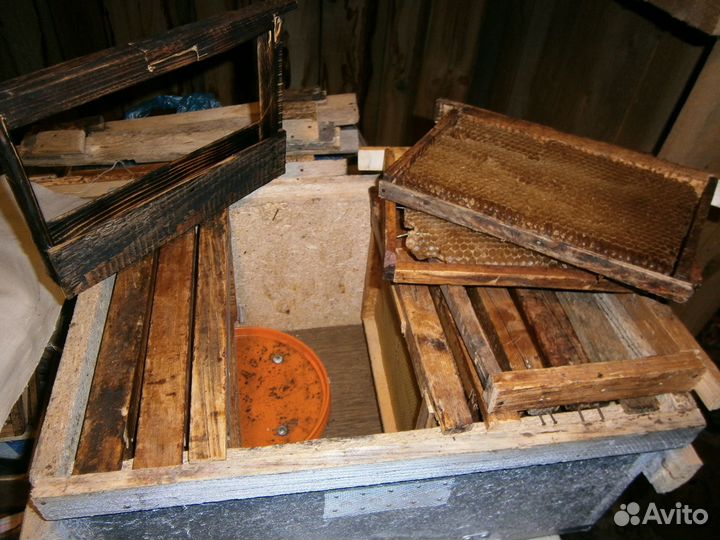 Нуклеус для пчёл