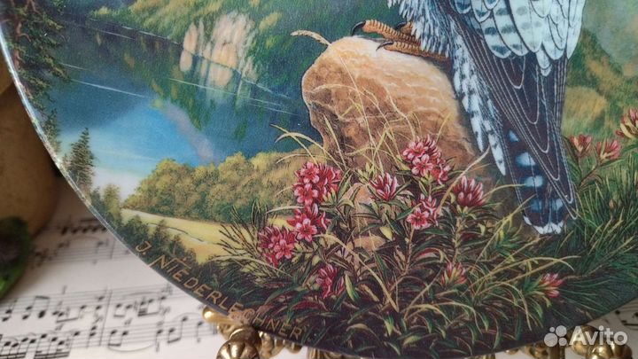 Тарелка настенная Сапсан Зельтманнов, Вохенштраусс