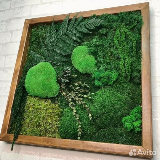 Панели из мха для декора по вашим размерам