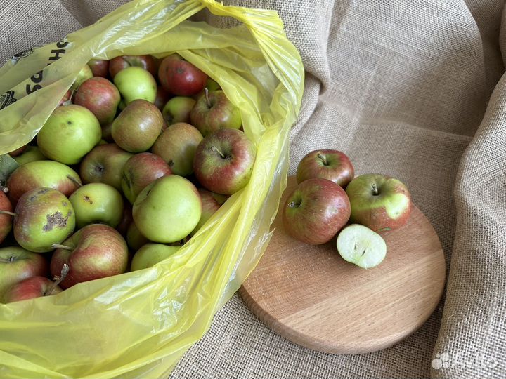 Яблоки деревенские