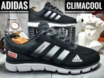 Кроссовки мужские летние Adidas Climacool