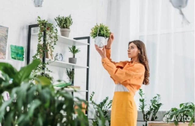 Помощник декоратора