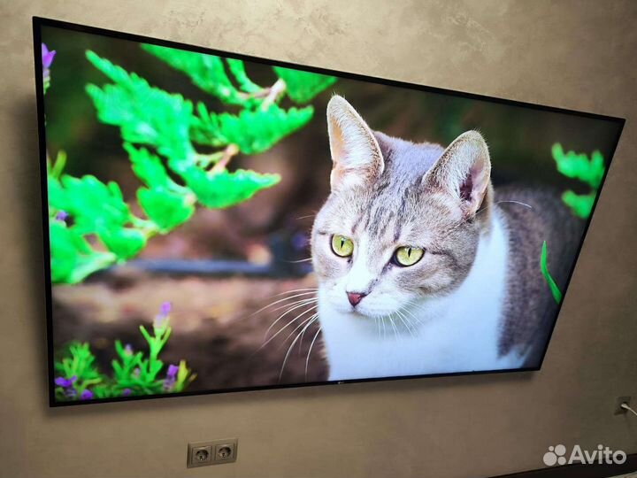 Lg 75 uh855