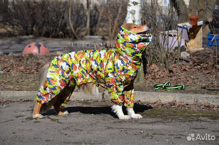 Комбинезон дождевик для собак
