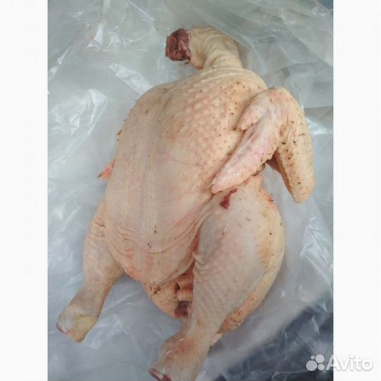 Индюшатина мясо