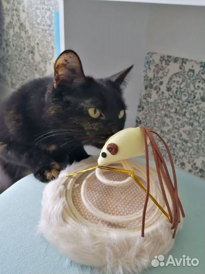 Игрушка для кошек новая на пружине с мышкой