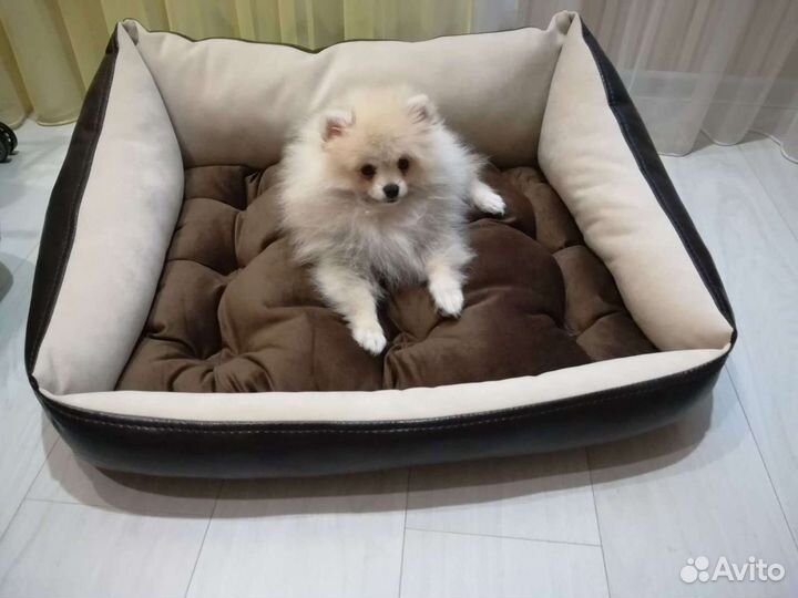 Лежанки, матрасики, автогамак для собак и кошек