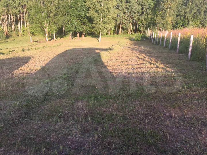 Участок 11,5 сот. (ИЖС)
