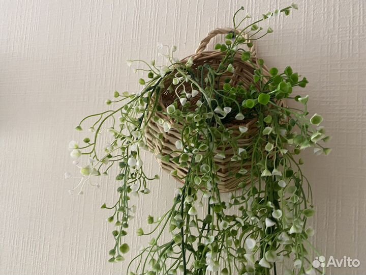 Искусственное ампельное растение